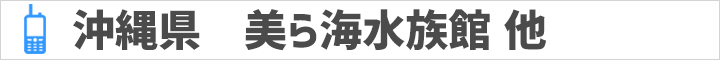沖縄県 美ら海水族館 他